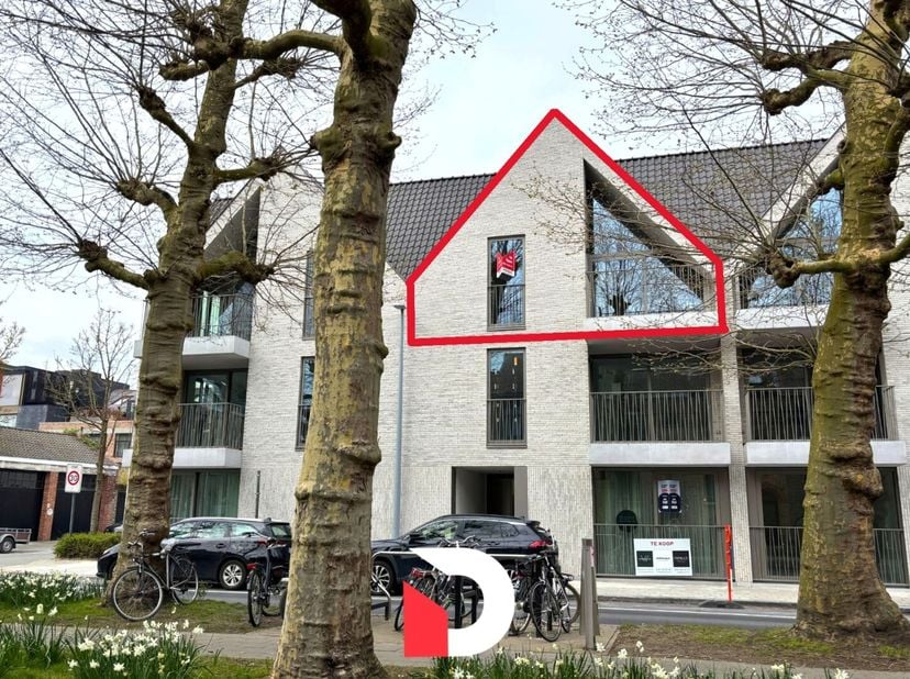Appartement à louer
                    à 8000 Brugge