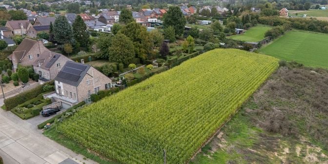 Grond te koop in Bammestraat, 3740 Rijkhoven