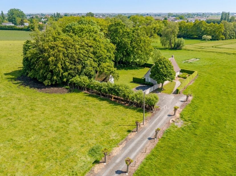 Op een uitzonderlijk rustig gelegen perceel van maar liefst 2.684 m² bevindt zich deze alleenstaande woning met tal van mogelijkheden, omringd door gr