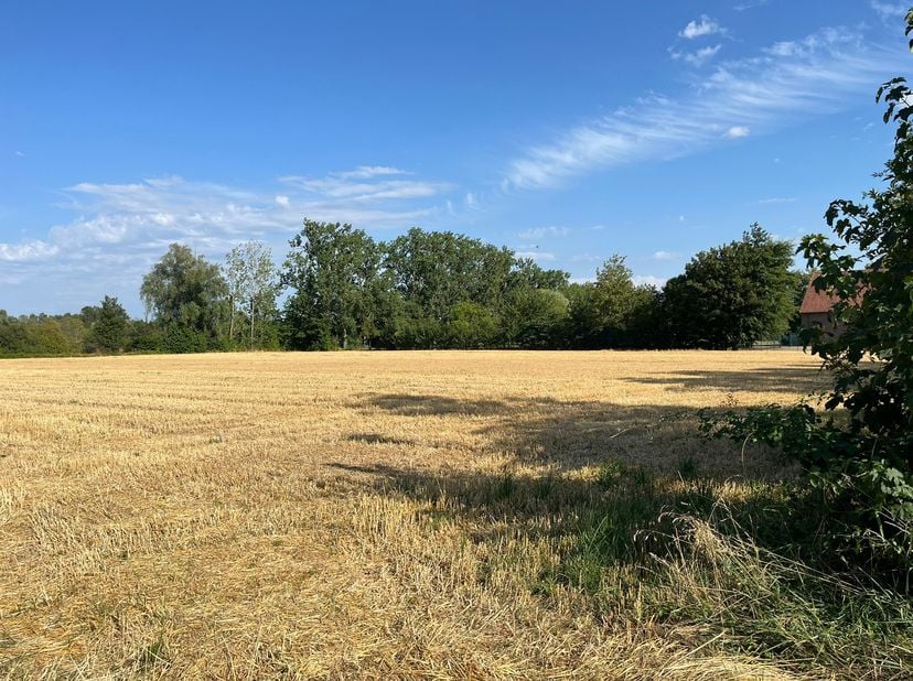 Terrain à vendre
                    à 3631 Boorsem