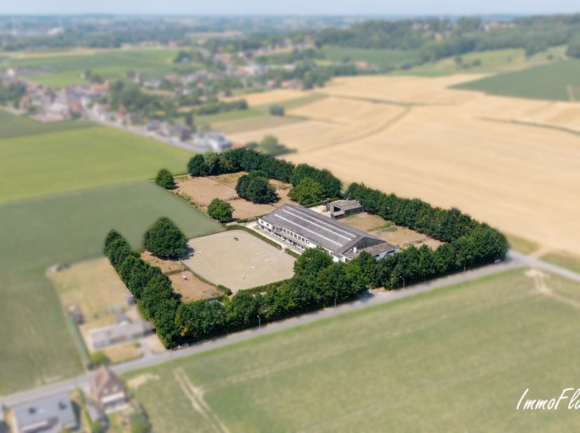Dit hippisch complex is gelegen te Amougies, deelgemeente van Kluisbergen en bevindt zich net over de taalgrens. Het eigendom is makkelijk bereikbaar