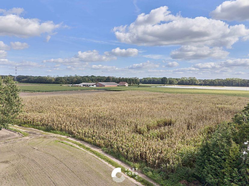 Grond te koop in Lochterveld,
                    3940 Hechtel