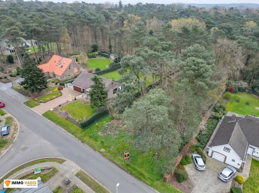 Deze prachtige bouwgrond van 15 are is gelegen in de Snijwitstraat 20 in Houthalen.<br />
Met een perceeldiepte van 60 meter en een straatbreedte van