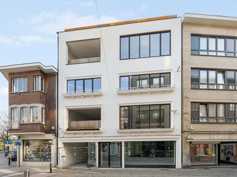 Bien professionnel à vendre
                    à 3500 Hasselt