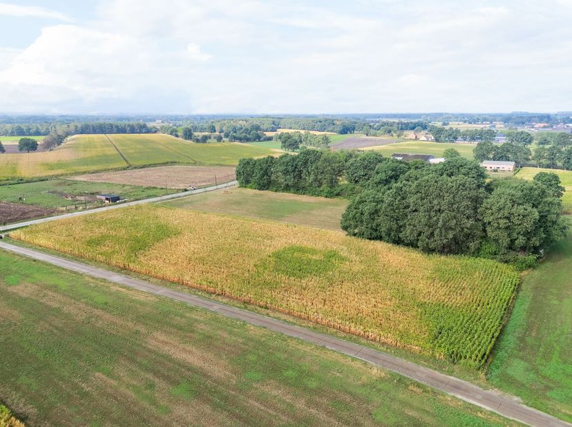 Drie landbouwgronden met een opp. van 2ha 18a 64ca<br />
<br />
Deze drie percelen, samen goed voor maar liefst 21.864 m², zijn gelegen langs de ver