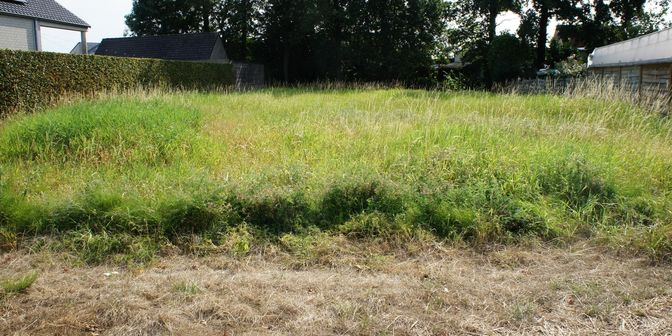 Terrain à vendre à 2390 Oostmalle