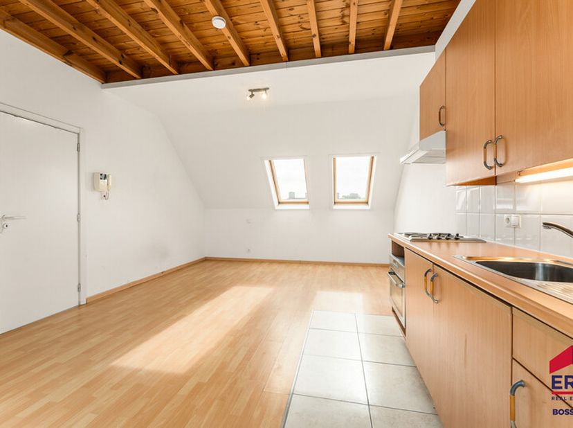 Te koop: verzorgd dakappartement met groot terras in het centrum van Waregem, op wandelafstand van winkels en nabij openbaar vervoer. Dit appartement,