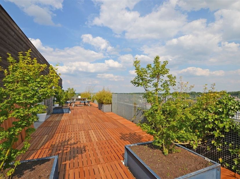Appartement à vendre
                    à 3500 Hasselt