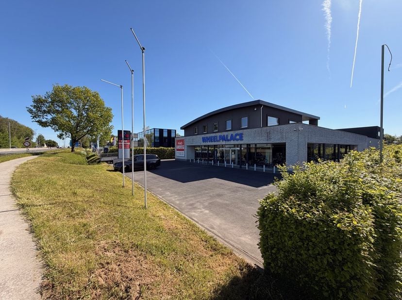 Bedrijfsgebouw (ca. 1.268m²) met woonst (ca. 252m²) op zichtlocatie langs de N60 Westerring te Oudenaarde<br />
<br />
INDELING : showroom, opslagruim