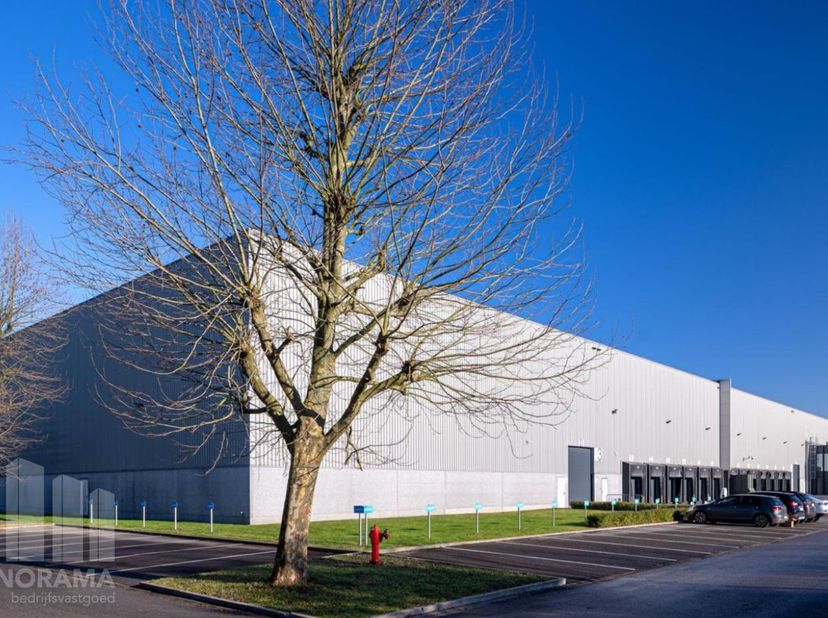 Entrepôt logistique idéalement situé de 5 858 m² à louer, à proximité immédiate de l’A12 (à seulement 3,2 km), offrant ainsi un accès rapide à Bruxell