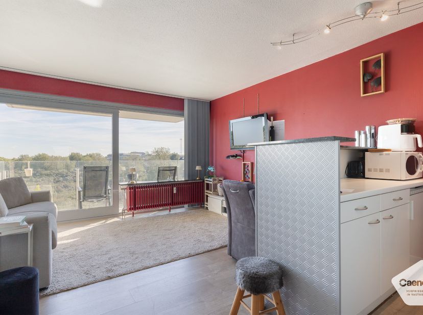 Appartement te koop in Franslaan 172 bus 0408,
                    8620 Nieuwpoort