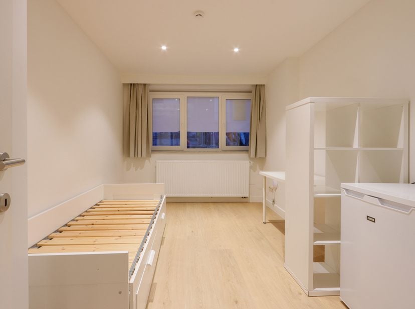 Kot-kamer te huur in Onze-Lieve-Vrouwstraat 52 bus 00.01,
                    3000 Leuven