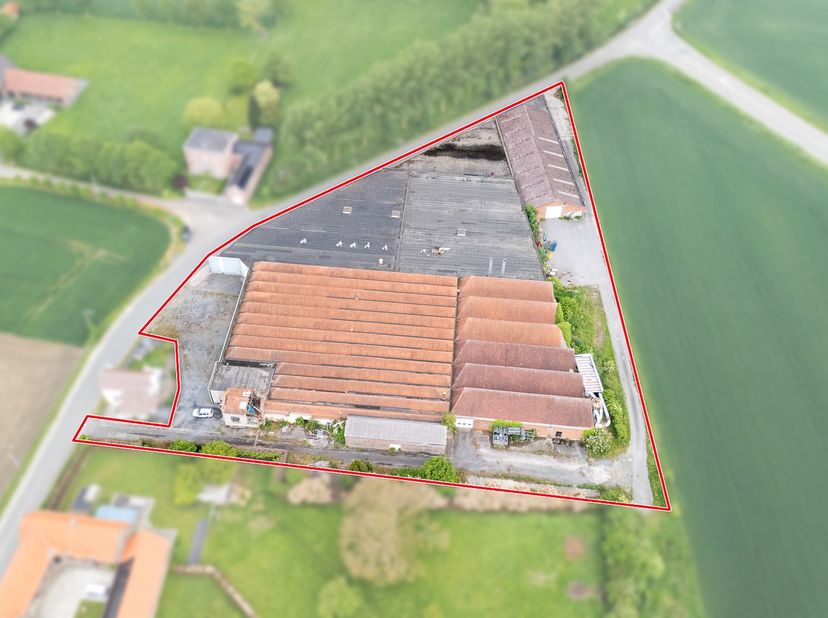 Bedrijfsvastgoed te huur
                    in 7520 Templeuve