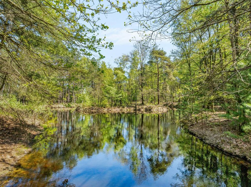 In de stad Geel, palend aan Winkelomheide ligt een domein van 12 hectare, waarvan ca 2 hectare landbouwgrond is. (landbouwgrond optioneel aan te kopen