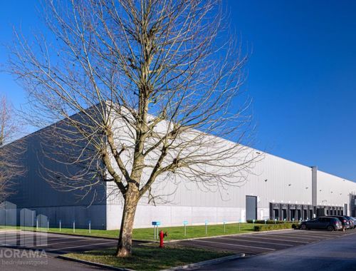                             Bâtiment d’entreprise à louer à Willebroek
