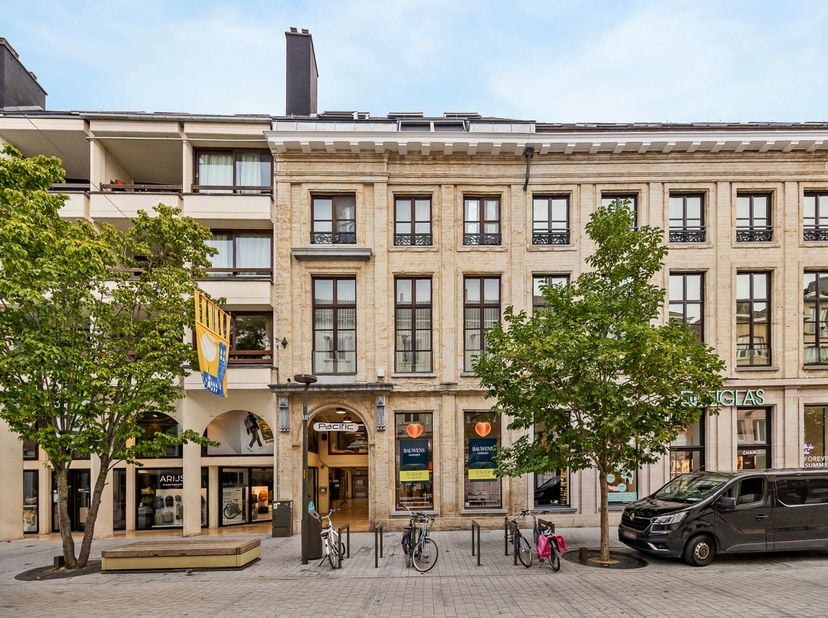 Bien professionnel à vendre à Bruul 79,
                    2800 Mechelen