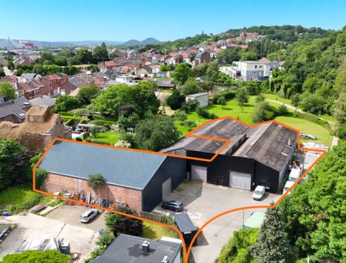                                         Entrepôt à vendre à Vivegnis, € 980.000
