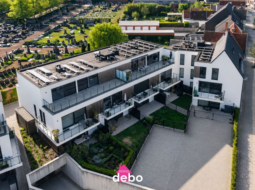 Appartement à vendre
                    à 8550 Zwevegem