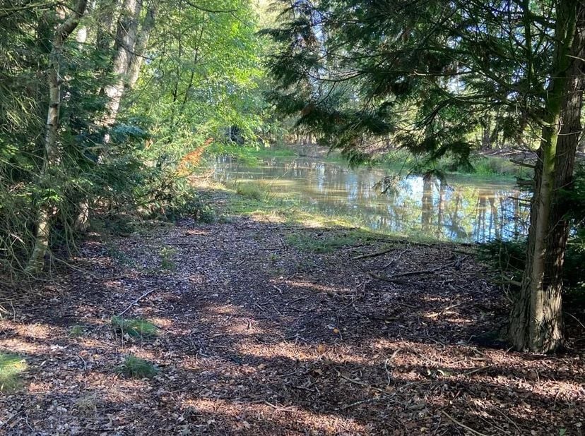 Terrain à vendre à Ruitersbaan,
                    3940 Hechtel
