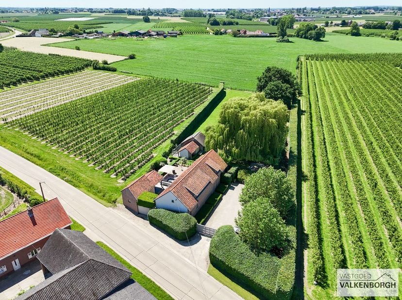 Maison à vendre
                    à 3540 Herk-de-Stad