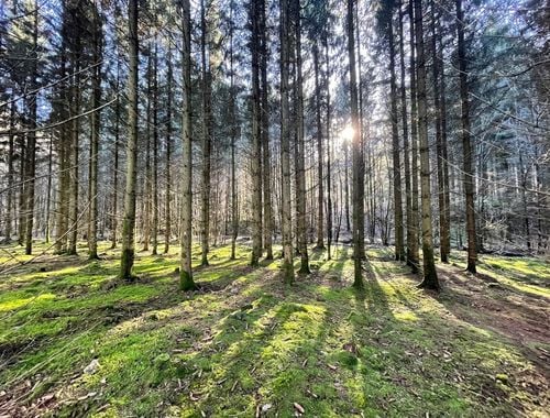                                         Bouwgrond te koop in Brûly-de-Pesche, € 103.000
