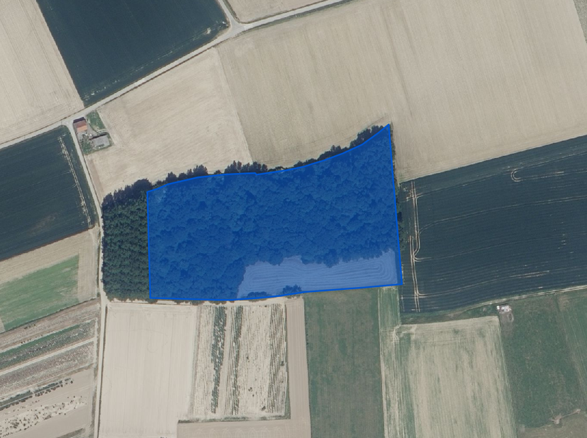 PERCEEL BOS - <br />
<br />
Een perceel bos, gelegen ter plaatse genaamd “Bouchautveld”, gekadastreerd volgens titel en recent kadastraal uittreksel,