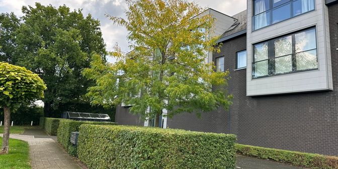 Appartement te huur in Dorenboslaan 103 bus V2L, 2110 Wijnegem