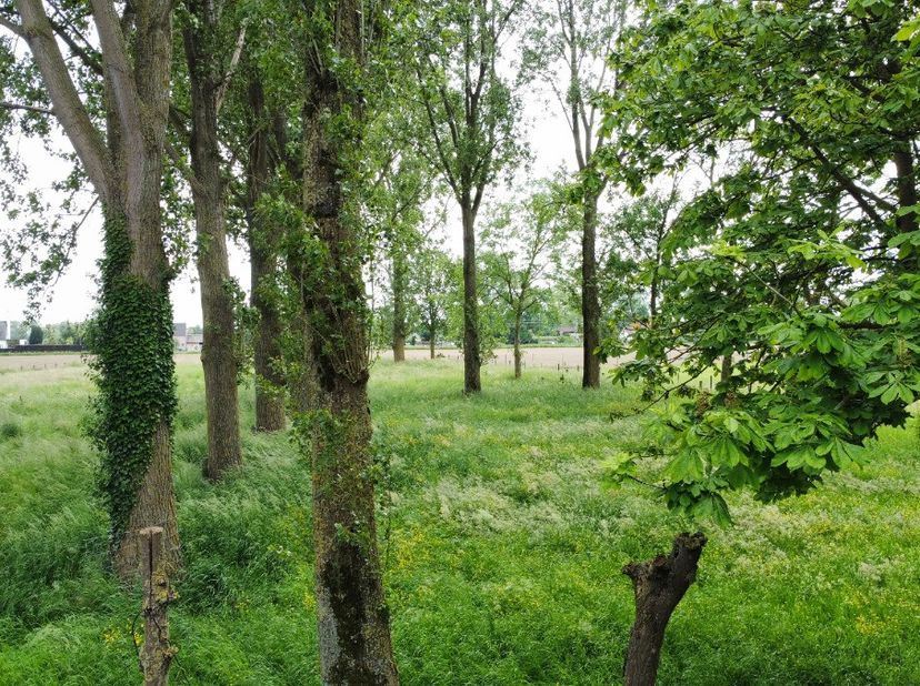 Terrain à bâtir pour une maison semi-mitoyenne sur une parcelle de 600m², avec une largeur de façade de 7m. Ce terrain est vendu avec une obligation d