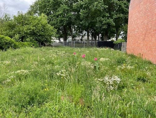                                         Bouwgrond te koop in Haacht, € 180.000
