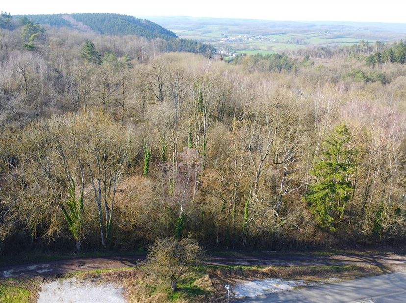 Dit prachtige beboste perceel in Frasnes, tussen Boussu-en-Fagne en Frasnes, beslaat 1 hectare 10 are 40 centiares en heeft een uitzonderlijke straatg