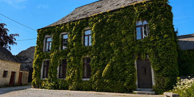 Huis te koop in Rue de la Maladrerie 13, 5620 Saint-Aubin