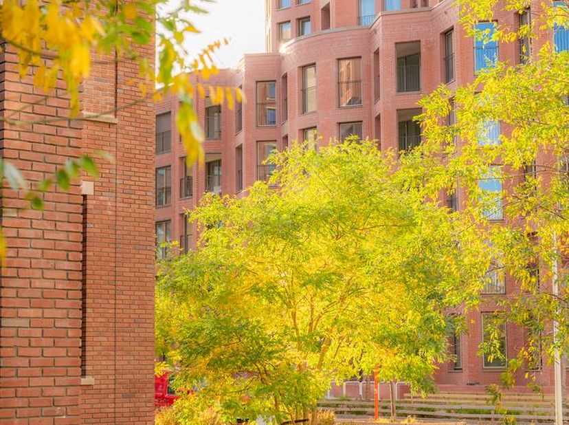 Découvrez le quartier résidentiel Park Lane II sous toutes ses facettes : de l'aménagement extérieur aux halls d'entrée, en passant par les locaux vél