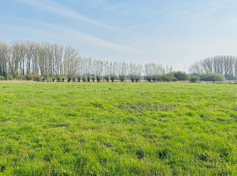 Op een mooie, doch centrale ligging bieden wij deze interessante combinatie aan van bouwgrond en landbouwgrond met mooie vergezichten.<br />
<br />
He