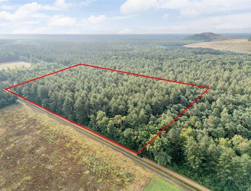                                         Bois à vendre à Opglabbeek, € 124.000
