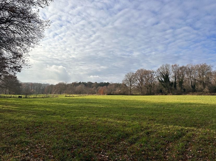 Terrain à vendre
                    à 3580 Beringen