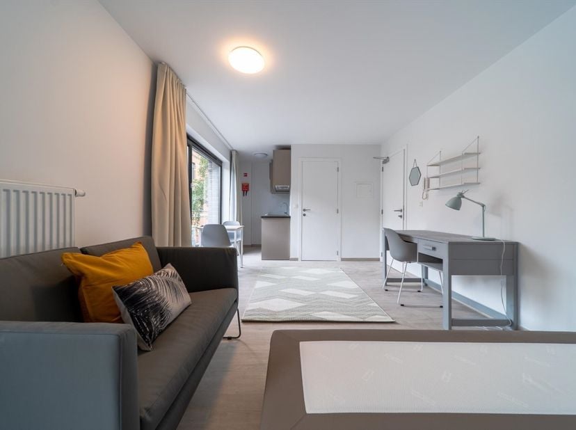 De toplocatie van Residentie ARTEMIS (Dekenstraat 86, Leuven) maakt van deze een bijzonder interessante uitvalsbasis. Op een steenworp van de historis