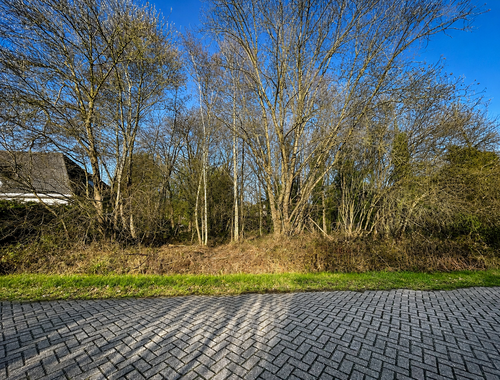                                         Bouwgrond te koop in Kasterlee, € 320.000

