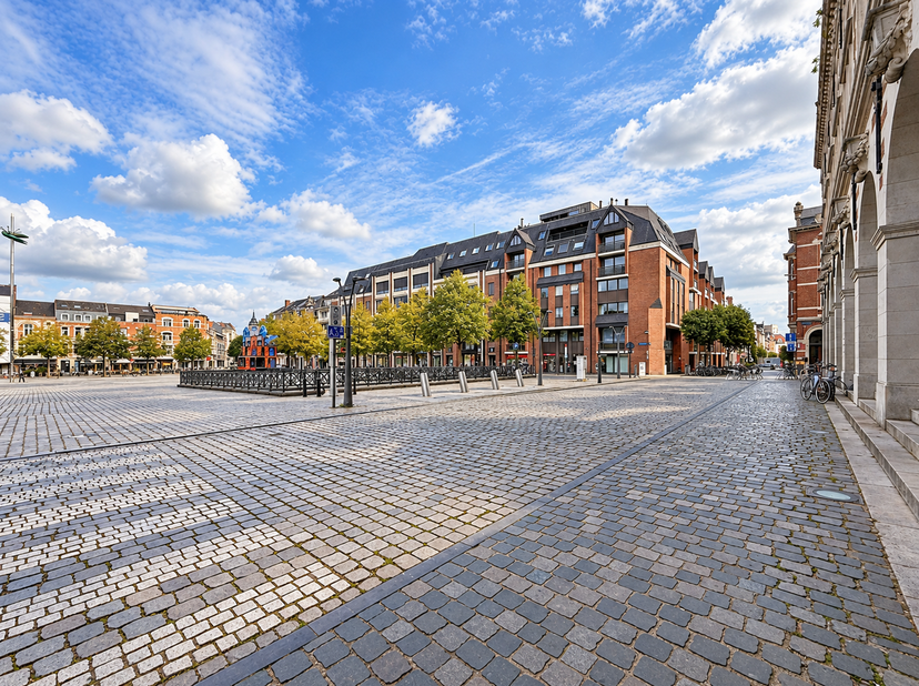Appartement te koop in Koning Leopold I-straat 3 bus 0202,
                    3000 Leuven