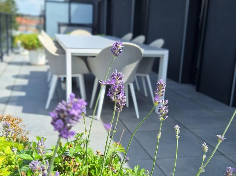Ce penthouse unique, doté de deux terrasses très spacieuses (76 m²), est situé sur la charmante place Mieregemplein, à proximité du centre de Merchtem