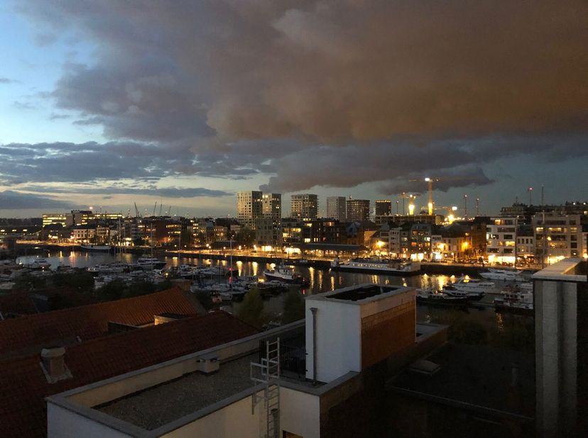 Bedrijfsvastgoed te huur in Entrepotplaats 4,
                    2000 Antwerpen