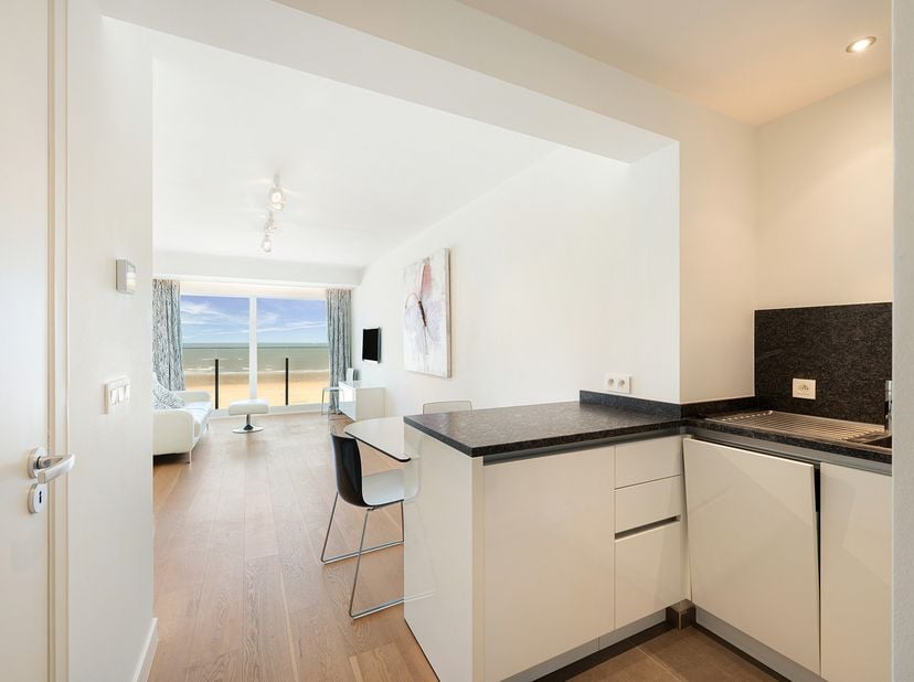 Deze instapklare studio bevindt zich op de vijfde verdieping van Residentie The Beach, met een prachtig zeezicht.&amp;nbsp;<br />
<br />
Indeling:<br />
D