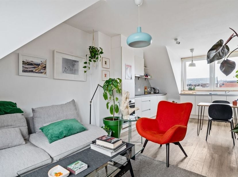Appartement d'une chambre à coucher prêt à l'emploi dans un endroit calme<br />
 Situation : Découvrez cet appartement dans la Klappeistraat, une rue