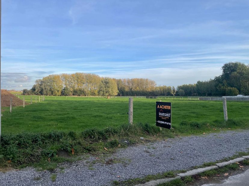 Grond te koop
                    in 7618 Taintignies