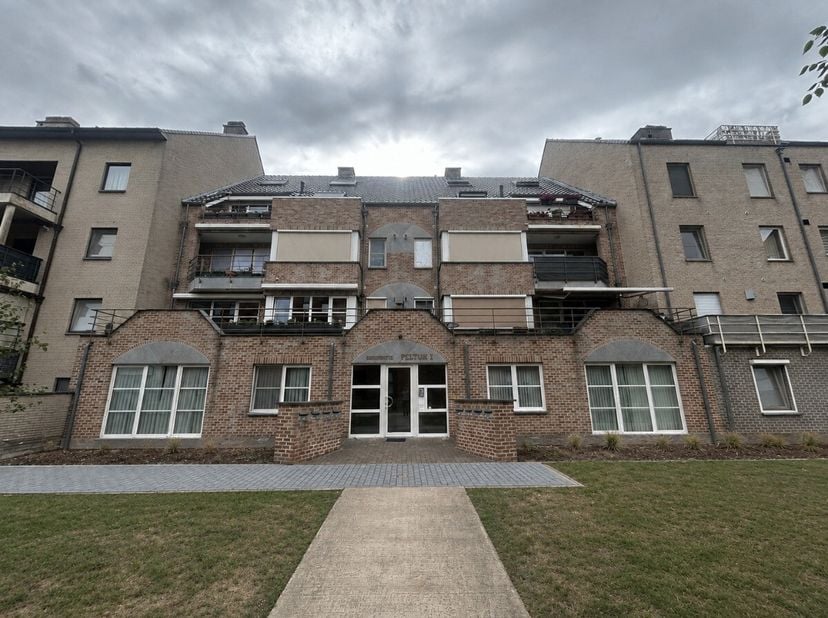 Ruim gelijkvloers appartement met 3 slaapkamers te Pelt:Indeling: inkom, toilet, woonkamer, keuken, 3 slaapkamers, bureau, badkamer en berging/wasplaa