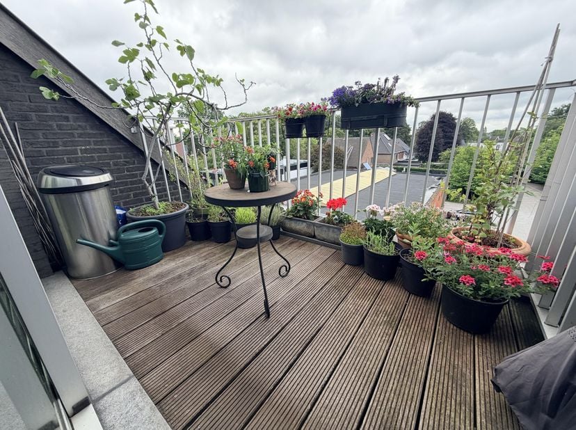 Appartement à louer
                    à 9041 Oostakker