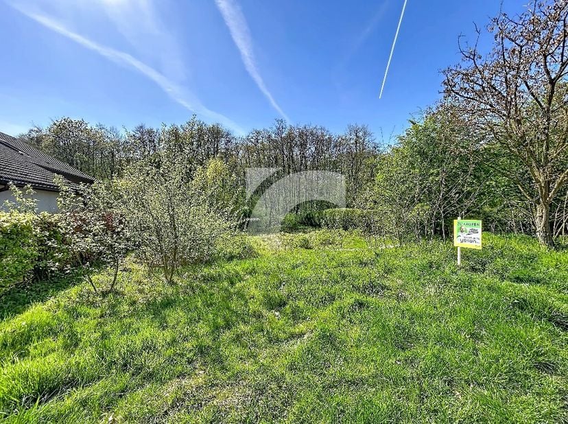NEU-MORESNET Kauberg : Dans un joli quartier résidentiel et très bien situé, en bordure de bois et directement à la frontière allemande, vous trouvere