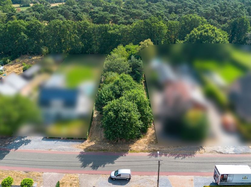 Het perceel geniet van een unieke ligging en grenst rechtstreeks aan natuurgebied De Teut, één van de mooiste natuurgebieden van Limburg. Vanuit uw to
