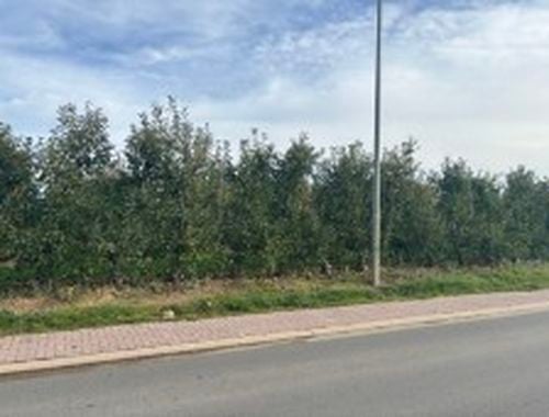                                         Grond te koop in Wilderen, € 10.000

