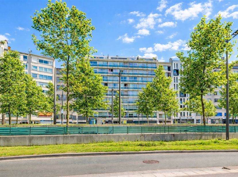 Deze leuke gerenoveerde studio staat te koop op de Italiëlei, pal in het centrum van Antwerpen, op wandelafstand van de Meir, het Operaplein, het Eila