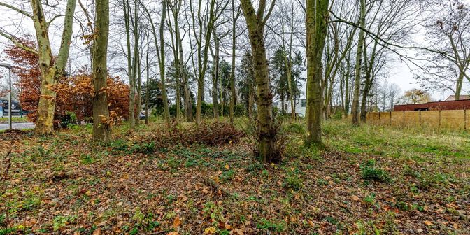 Terrain à vendre à Hofkouterstraat 71 - + boîte B, 9890 Dikkelvenne